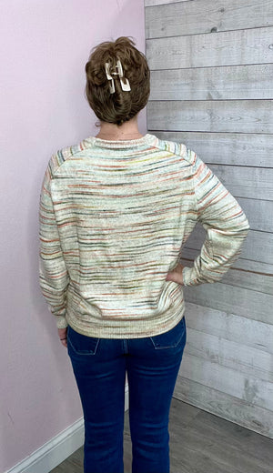 "What To Expect" Multi Stripe Sweater