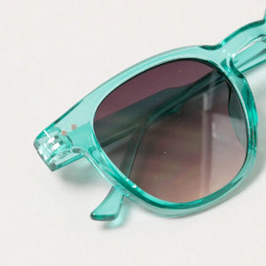Tinted Wayfarer Sunglasses